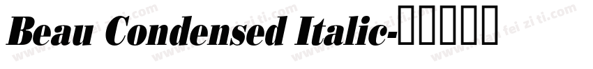 Beau Condensed Italic字体转换